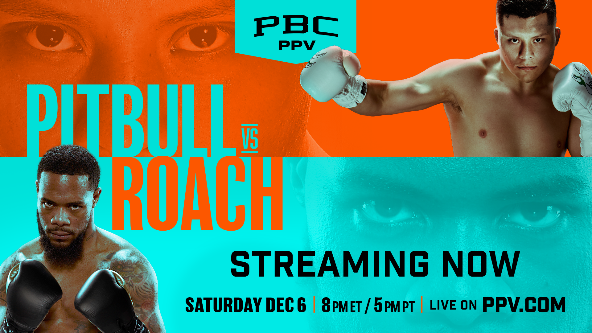 Pitbull vs. Roach (Replay)